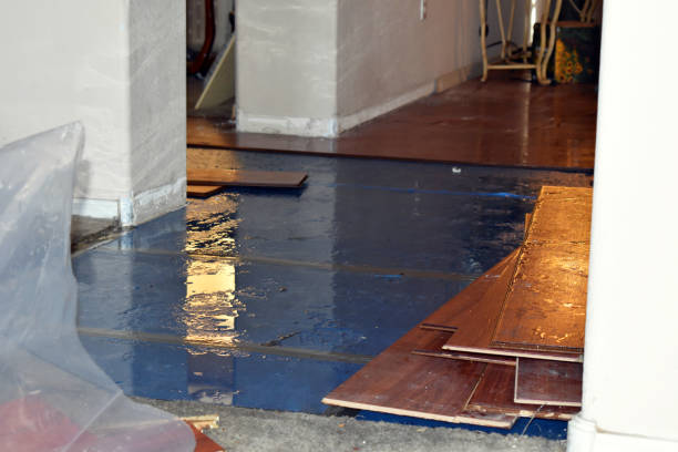 Professional Water Removal technician working in Henley, MO